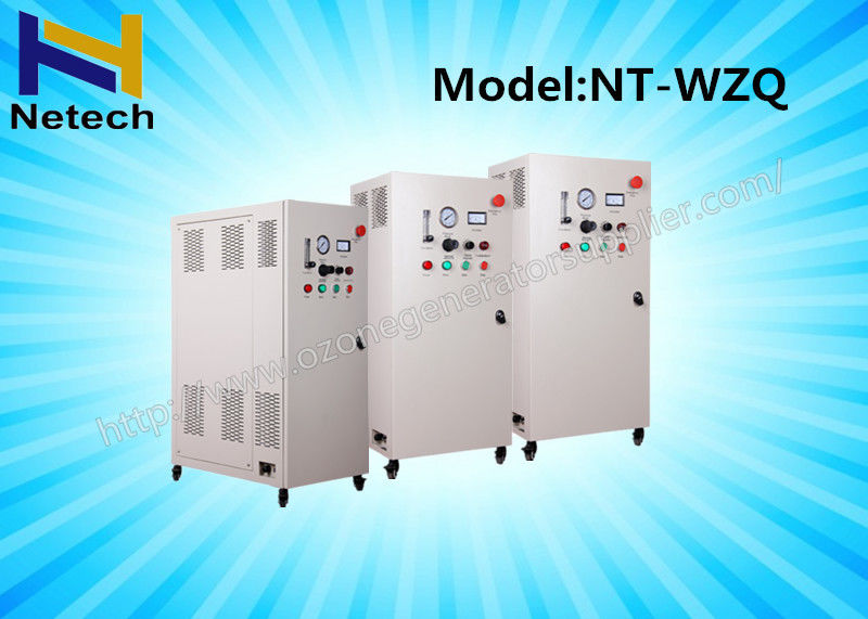 110V 220V Ozone Generator Water Purification  Hospital Air Water